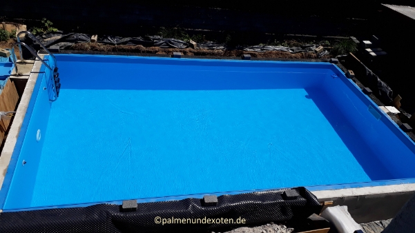 Poolbau