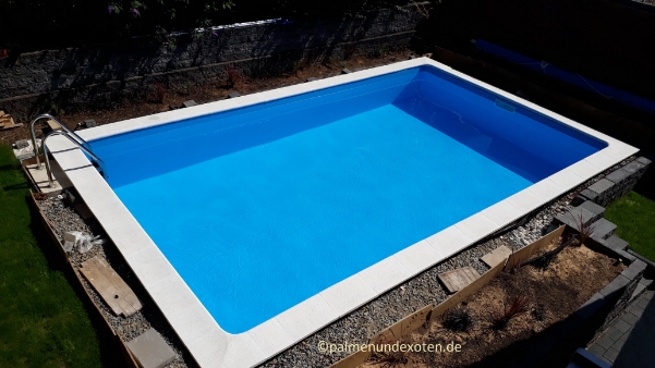 Poolbau