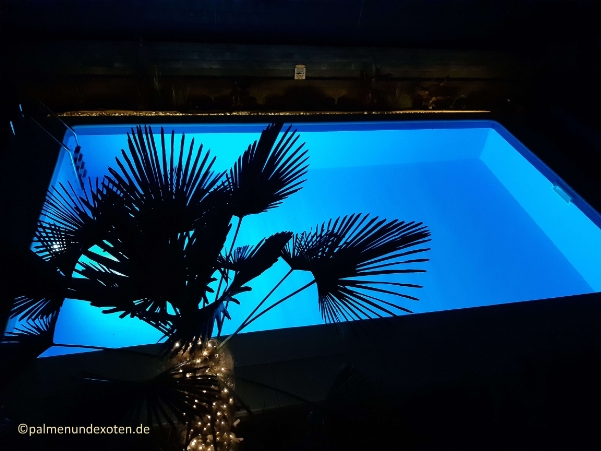 Poolbau